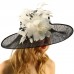Glorious Side Flip Sinamy Floral Feathers Derby Floppy Dress Wide Brim Hat  eb-23635239